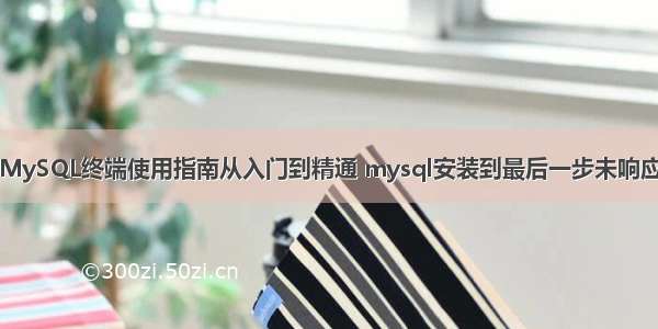 MySQL终端使用指南从入门到精通 mysql安装到最后一步未响应