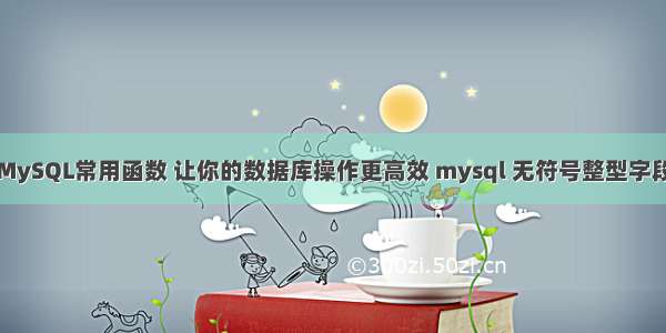 MySQL常用函数 让你的数据库操作更高效 mysql 无符号整型字段