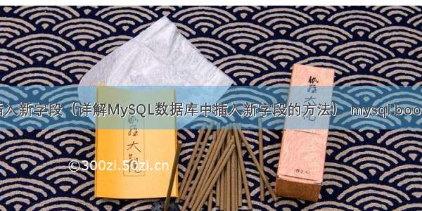 MySQL插入新字段（详解MySQL数据库中插入新字段的方法） mysql boolean bool