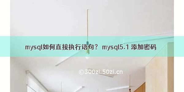 mysql如何直接执行语句？ mysql5.1 添加密码