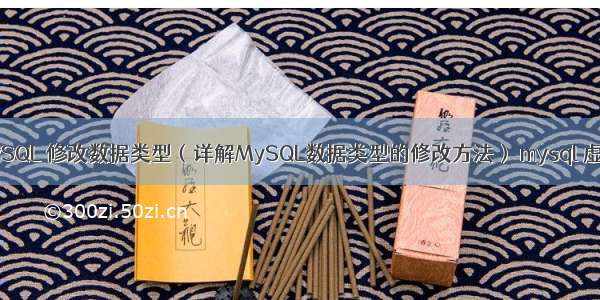 MySQL 修改数据类型（详解MySQL数据类型的修改方法） mysql 虚表