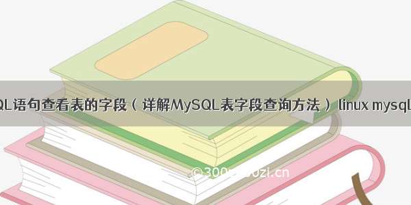 MySQL语句查看表的字段（详解MySQL表字段查询方法） linux mysql启动
