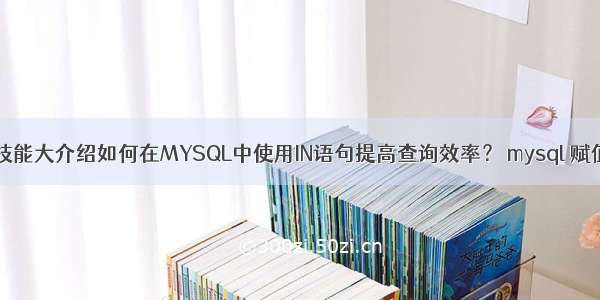 SQL技能大介绍如何在MYSQL中使用IN语句提高查询效率？ mysql 赋值 int