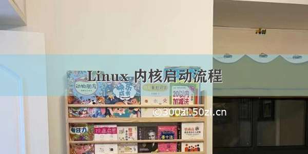 Linux 内核启动流程