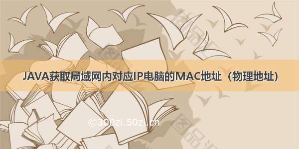 JAVA获取局域网内对应IP电脑的MAC地址（物理地址）