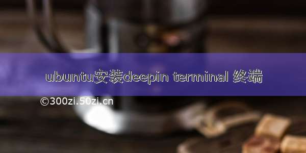 ubuntu安装deepin terminal 终端