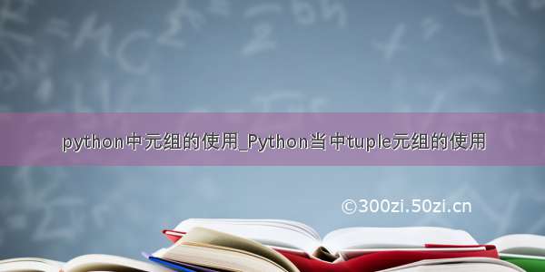 python中元组的使用_Python当中tuple元组的使用