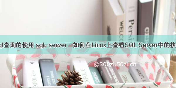 linux下sql查询的使用 sql-server – 如何在Linux上查看SQL Server中的执行计划