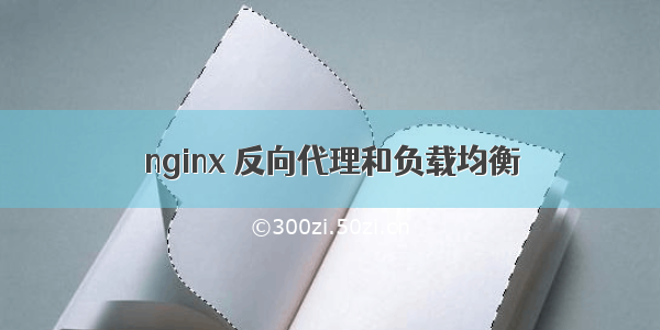 nginx 反向代理和负载均衡