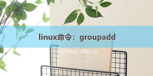 linux命令：groupadd