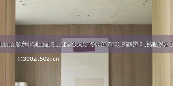 Linux环境中Visual Studio Code  安装配置及其卸载（详细教程）
