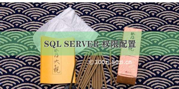 SQL SERVER 权限配置