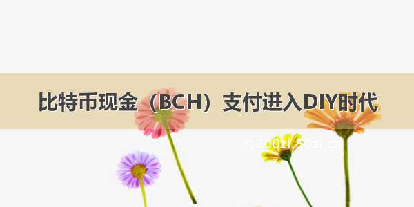 比特币现金（BCH）支付进入DIY时代