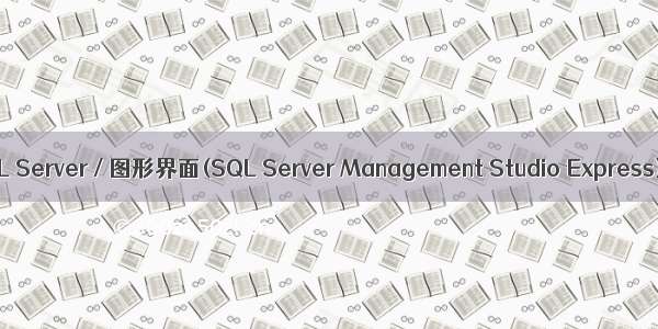 SQL Server / 图形界面(SQL Server Management Studio Express)