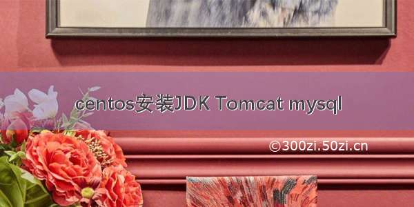 centos安装JDK Tomcat mysql