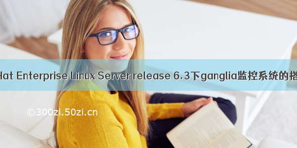 Red Hat Enterprise Linux Server release 6.3下ganglia监控系统的搭建