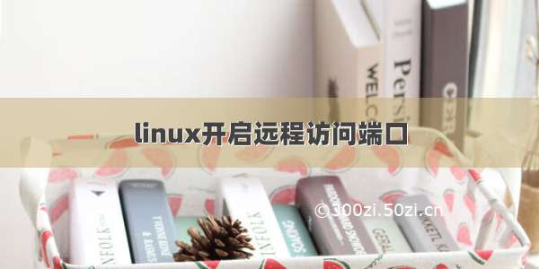 linux开启远程访问端口