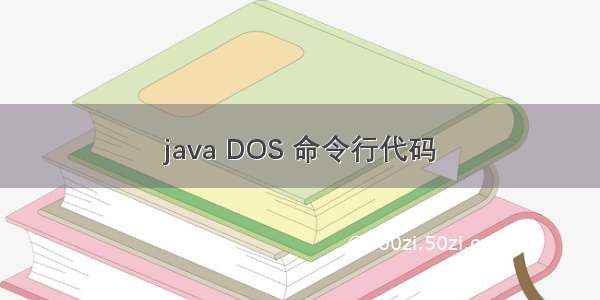 java DOS 命令行代码