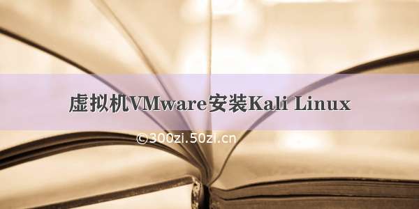 虚拟机VMware安装Kali Linux