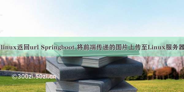 上传图片到linux返回url Springboot 将前端传递的图片上传至Linux服务器并返回图片