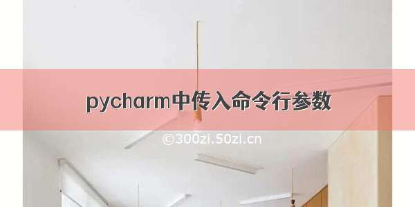 pycharm中传入命令行参数