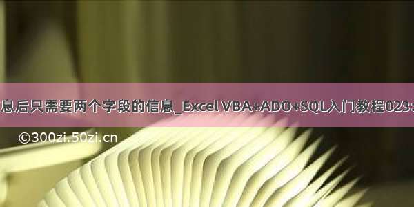 查询用户所有信息后只需要两个字段的信息_Excel VBA+ADO+SQL入门教程023：OpenSchema