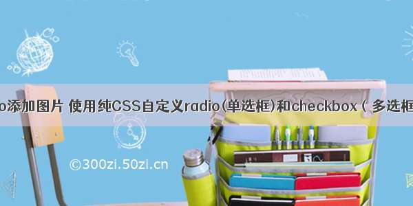 html给radio添加图片 使用纯CSS自定义radio(单选框)和checkbox（多选框）的样式