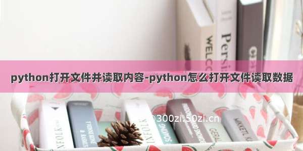 python打开文件并读取内容-python怎么打开文件读取数据