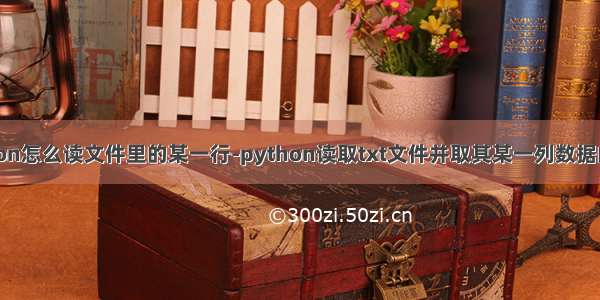 python怎么读文件里的某一行-python读取txt文件并取其某一列数据的示例