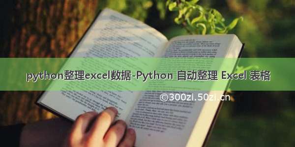 python整理excel数据-Python 自动整理 Excel 表格