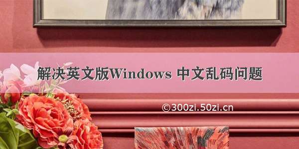 解决英文版Windows 中文乱码问题