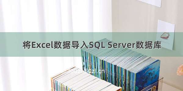 将Excel数据导入SQL Server数据库