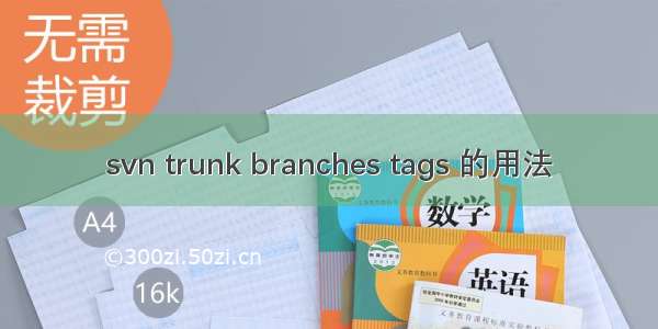 svn trunk branches tags 的用法