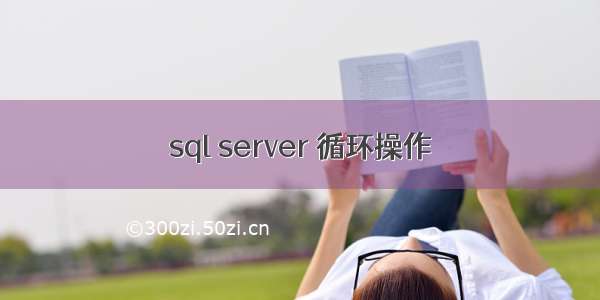 sql server 循环操作