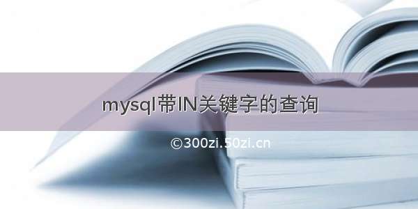 mysql带IN关键字的查询