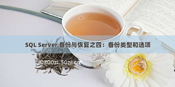 SQL Server 备份与恢复之四：备份类型和选项