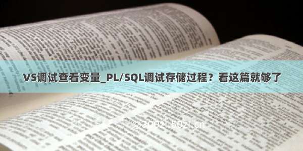 VS调试查看变量_PL/SQL调试存储过程？看这篇就够了