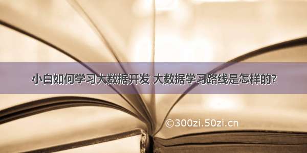 小白如何学习大数据开发 大数据学习路线是怎样的？