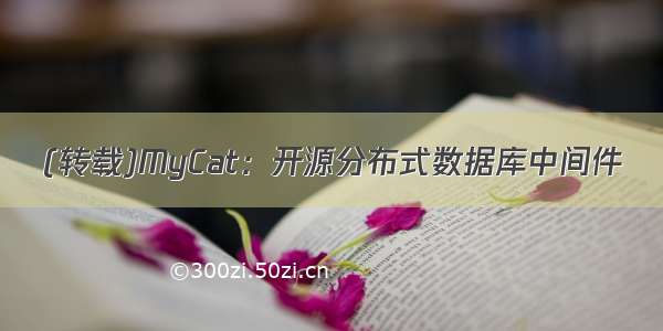 (转载)MyCat：开源分布式数据库中间件