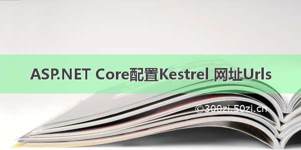 ASP.NET Core配置Kestrel 网址Urls
