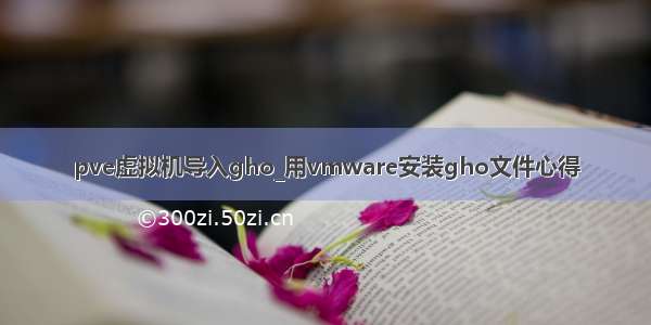 pve虚拟机导入gho_用vmware安装gho文件心得