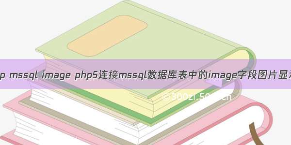 php mssql image php5连接mssql数据库表中的image字段图片显示