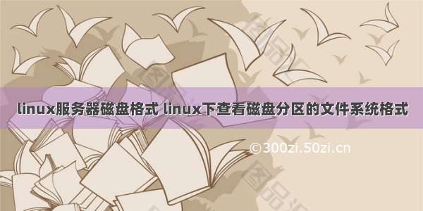 linux服务器磁盘格式 linux下查看磁盘分区的文件系统格式