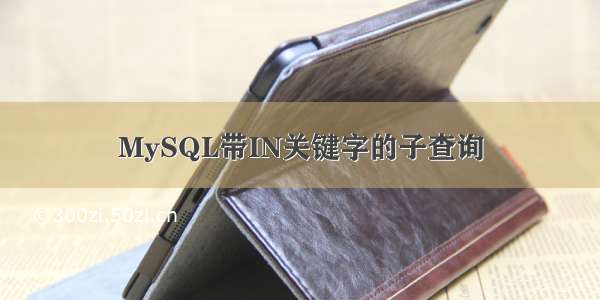 MySQL带IN关键字的子查询