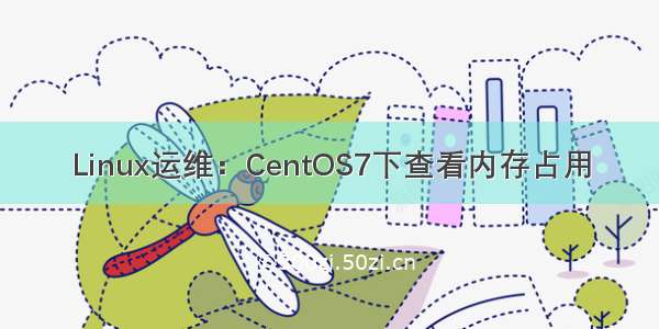 Linux运维：CentOS7下查看内存占用