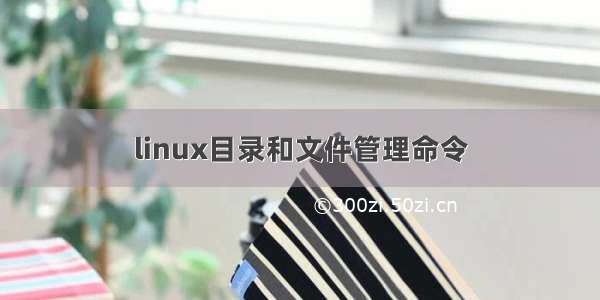 linux目录和文件管理命令