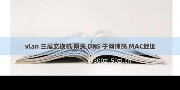 vlan 三层交换机 网关 DNS 子网掩码 MAC地址