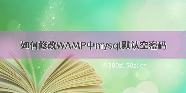 如何修改WAMP中mysql默认空密码