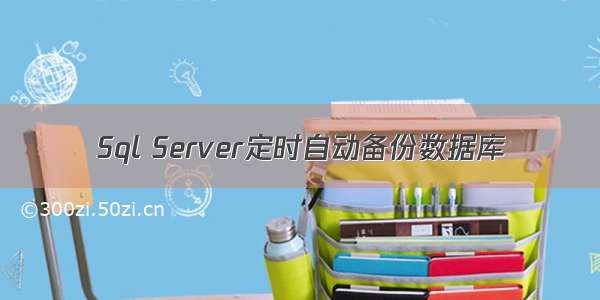 Sql Server定时自动备份数据库