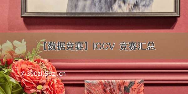 【数据竞赛】ICCV  竞赛汇总